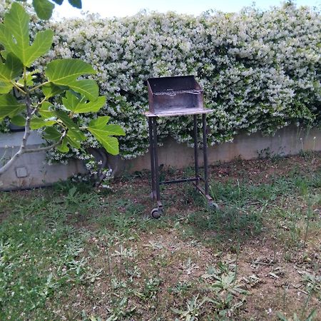 Appartamento In Seminterrato Zannone Sabaudia Exterior foto