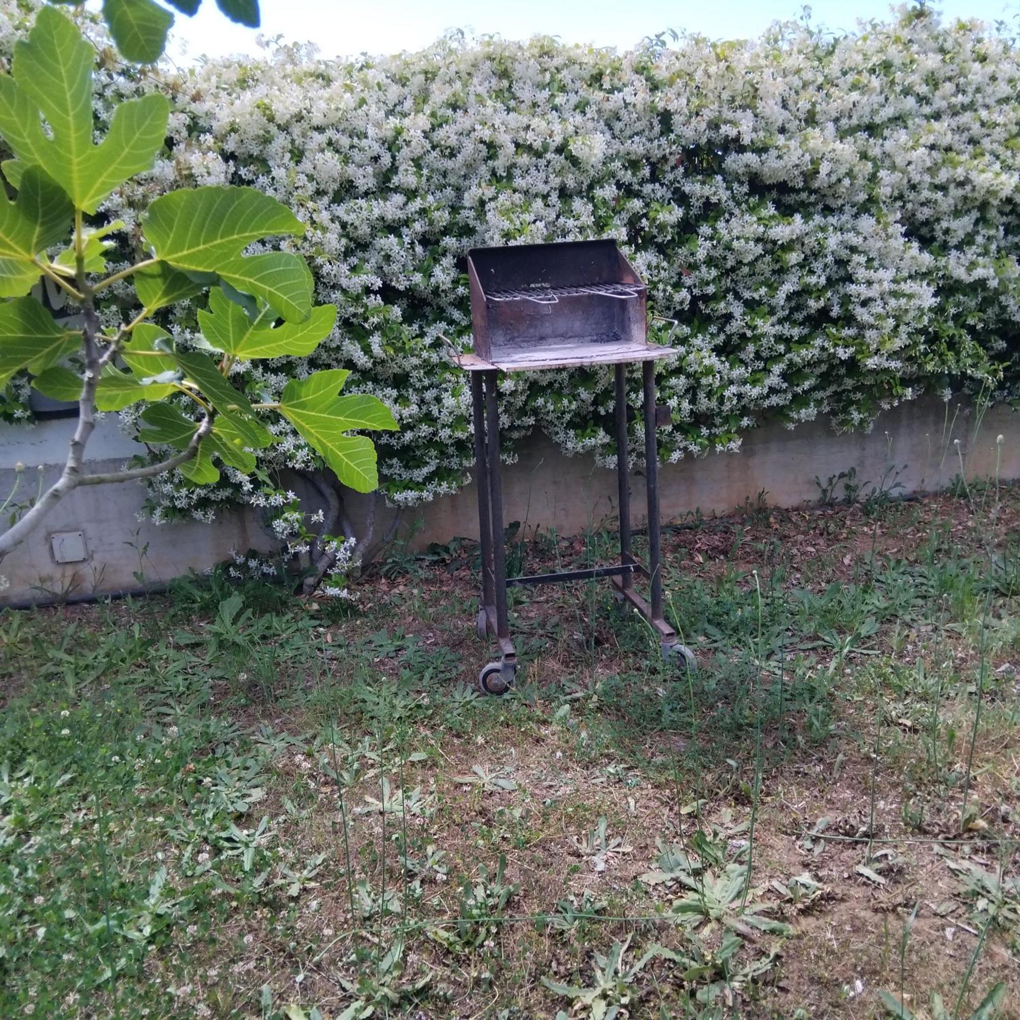 Appartamento In Seminterrato Zannone Sabaudia Exterior foto
